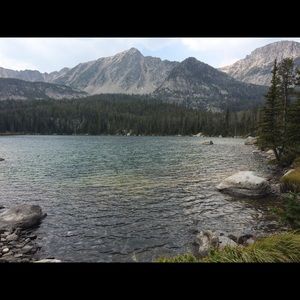 Meet your Posher, Julie